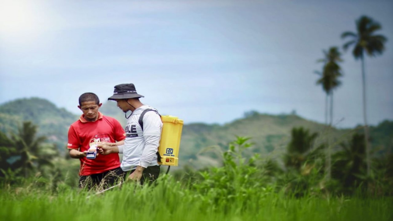 BRI terus mendorong penyaluran kredit kepada sektor pertanian.