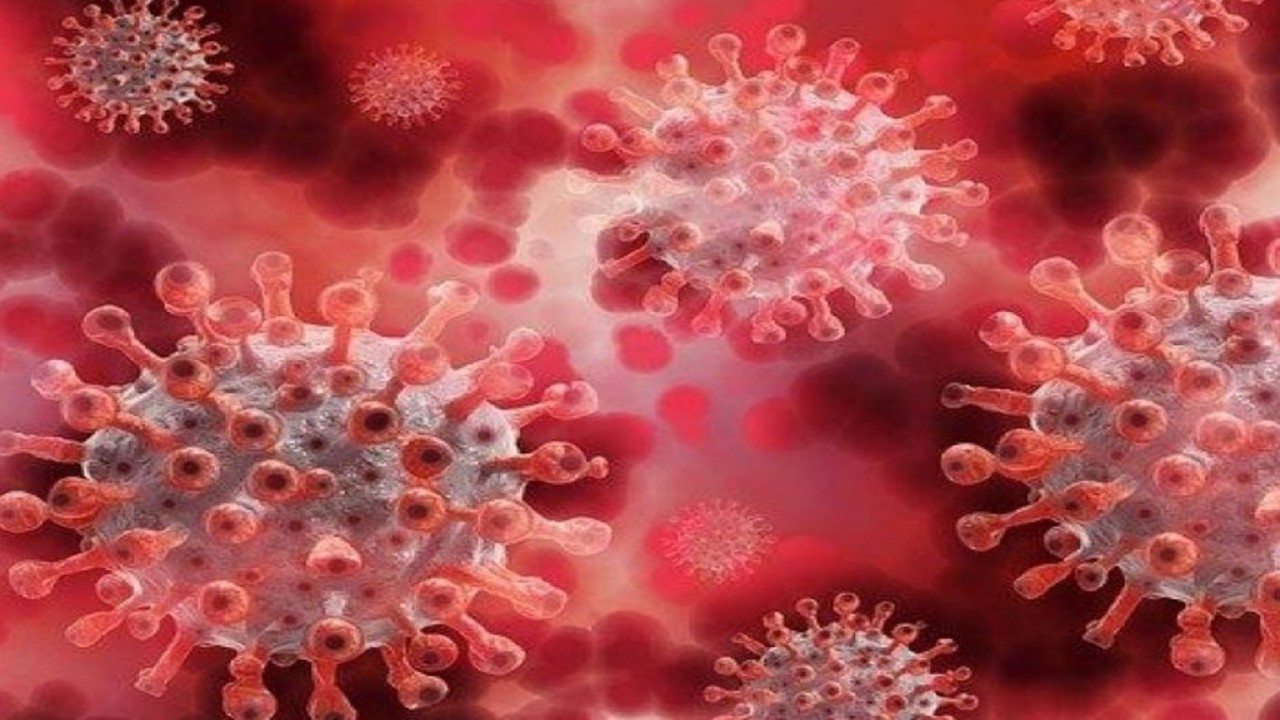 Ilustrasi covid-19/ist