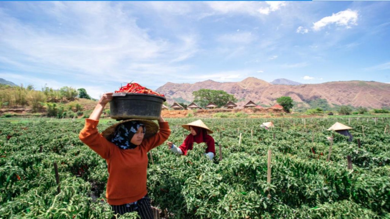 Protokol kesehatan jadi kunci kebangkitan UMKM