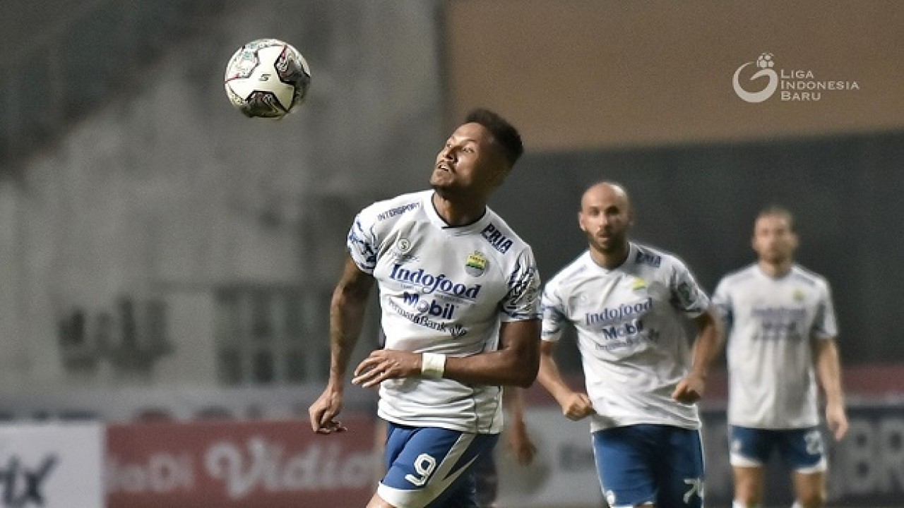 Striker Persib, Wander Luiz