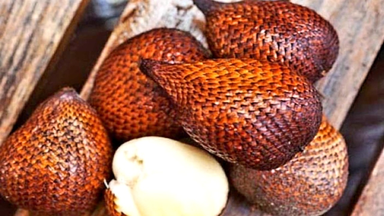 Buah Salak (net)