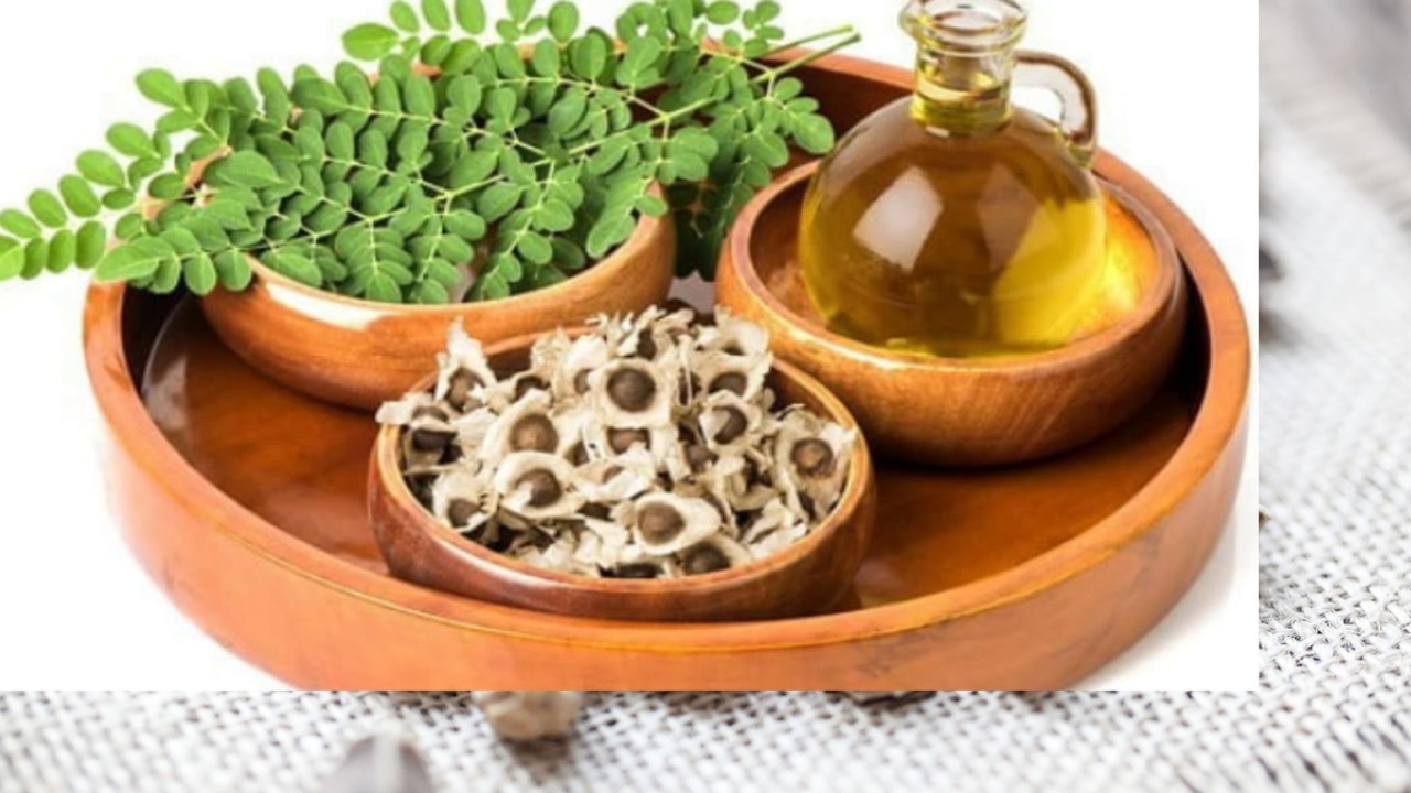 Ilustrasi, biji, daun dan minyak kelor (youtube.com)