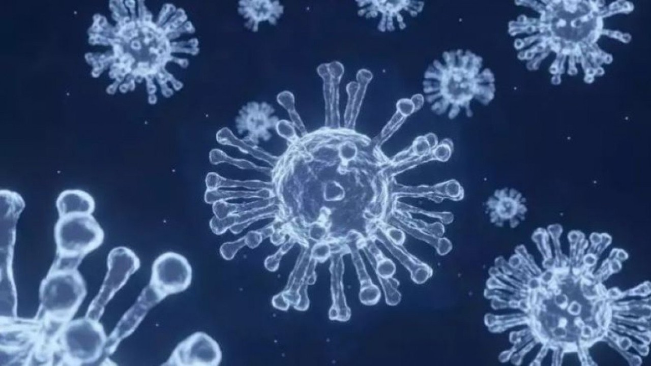 Ilustrasi covid-19/ist