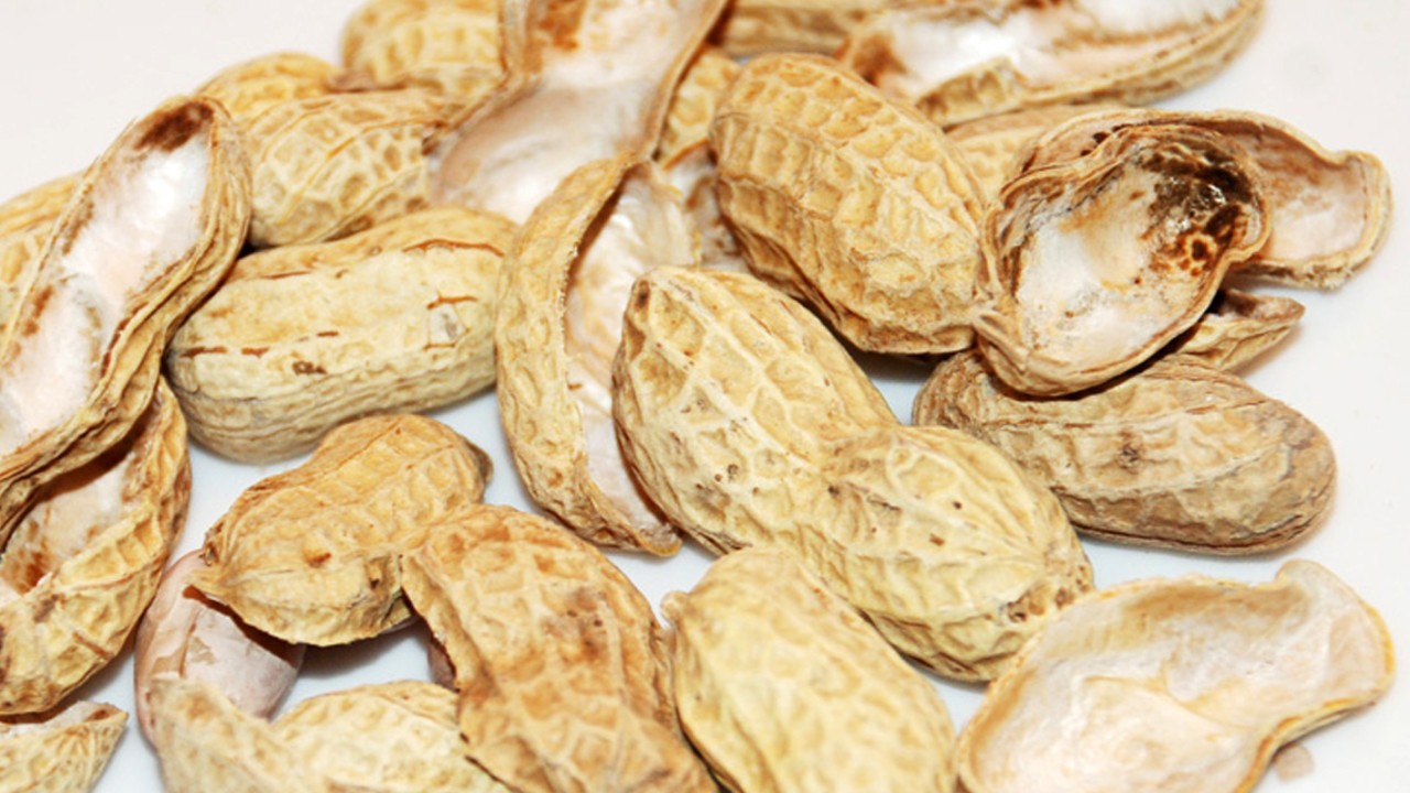 Ilustrasi kulit kacang (bebeja.com)