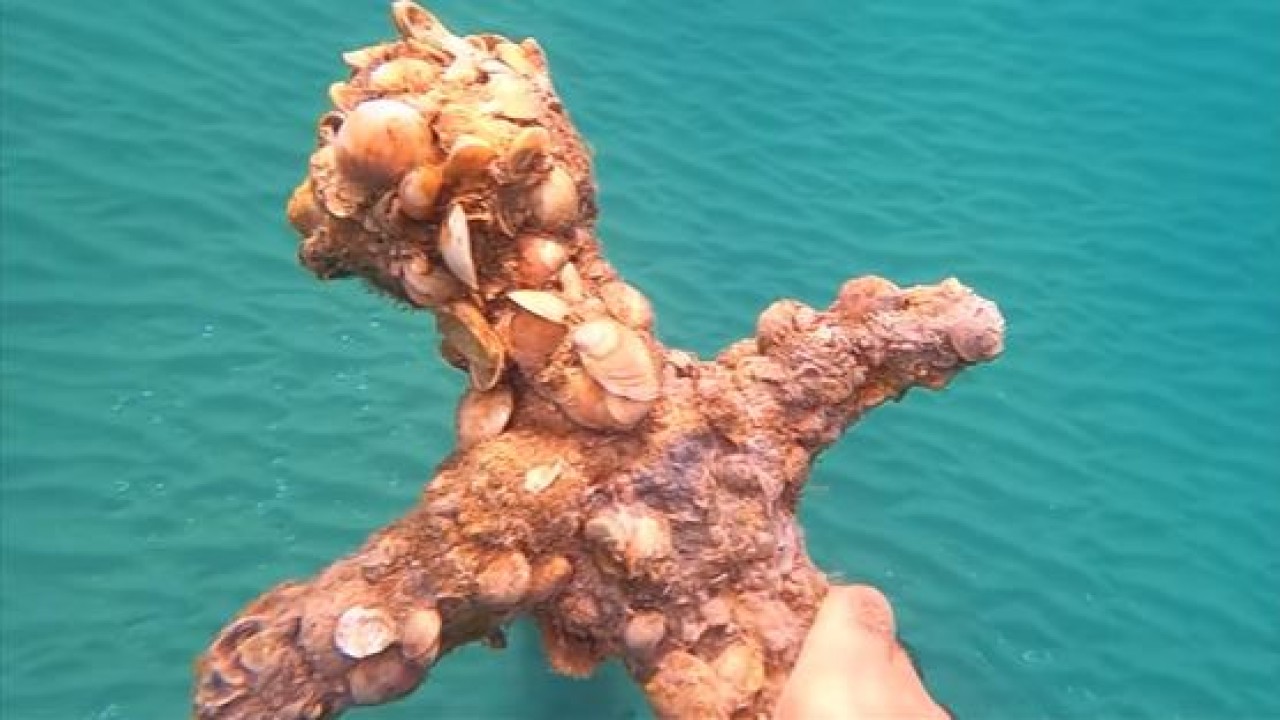 Pedang berusia 900 tahun. (UPI)