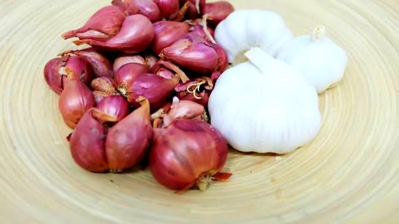 Bawang merah dan putih. (net)