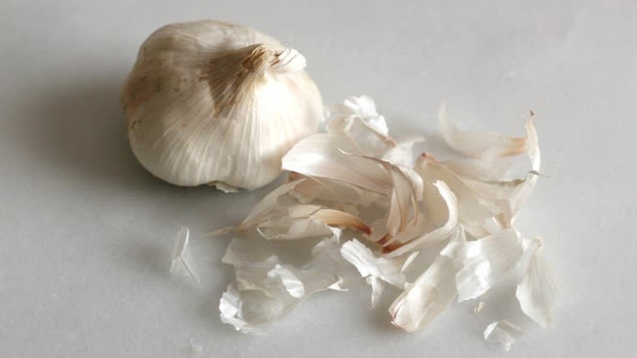 Ilustrasi, Bawang Putih dan kulitnya. (zamansekarang889.blogspot.com)