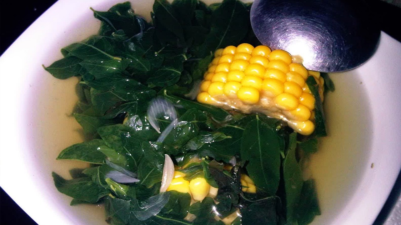 Daun Katuk (harianresep.blogspot.com)