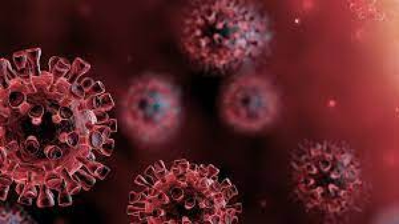 Ilustrasi covid-19/ist