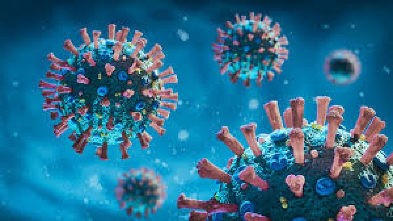 Ilustrasi covid-19/ist