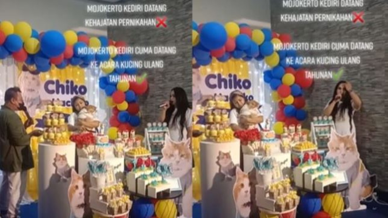 Kucing Sultan saat ulang tahun. (net)