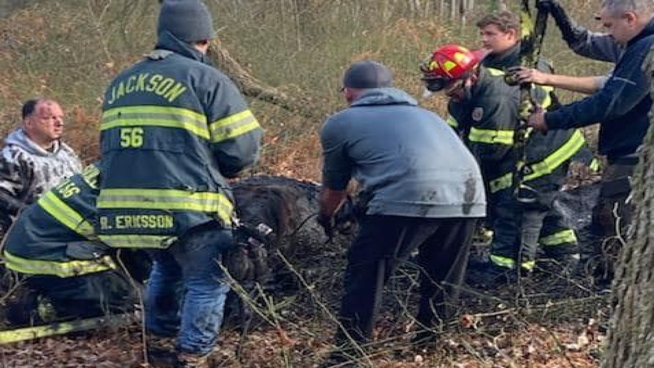 Kuda diselamatkan dari dalam lumpur di New Jersey, AS. (UPI)