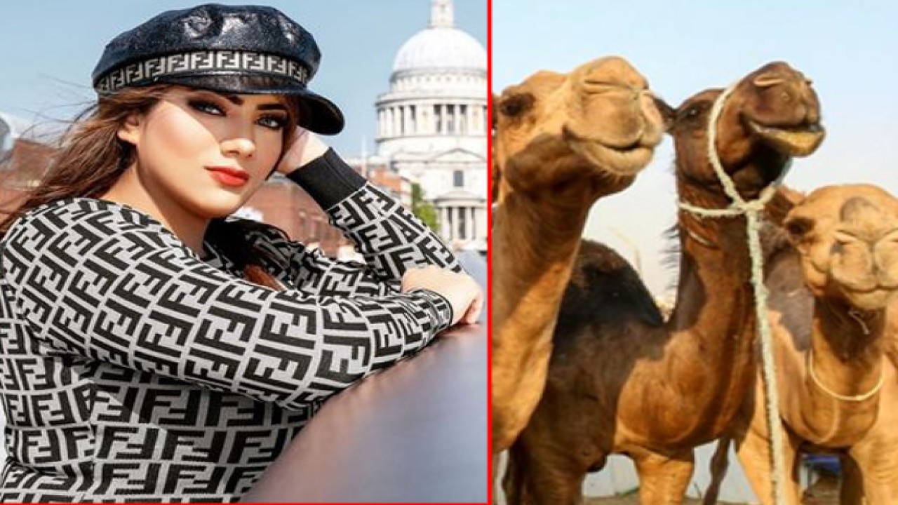 Model cantik Indira Gupta. (Istimewa)