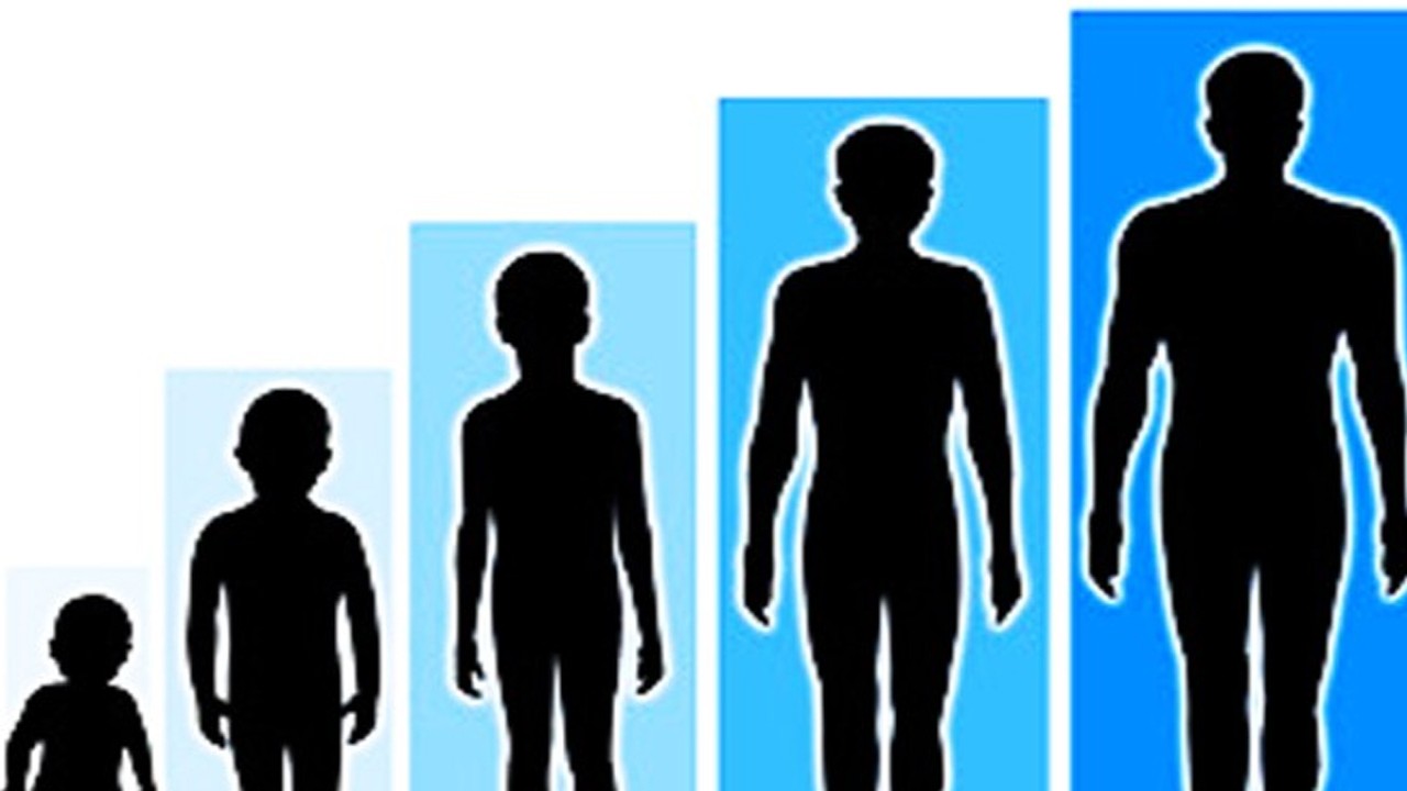 Ilustrasi perubahan tinggi badan (obedputraquetes.blogspot.com)