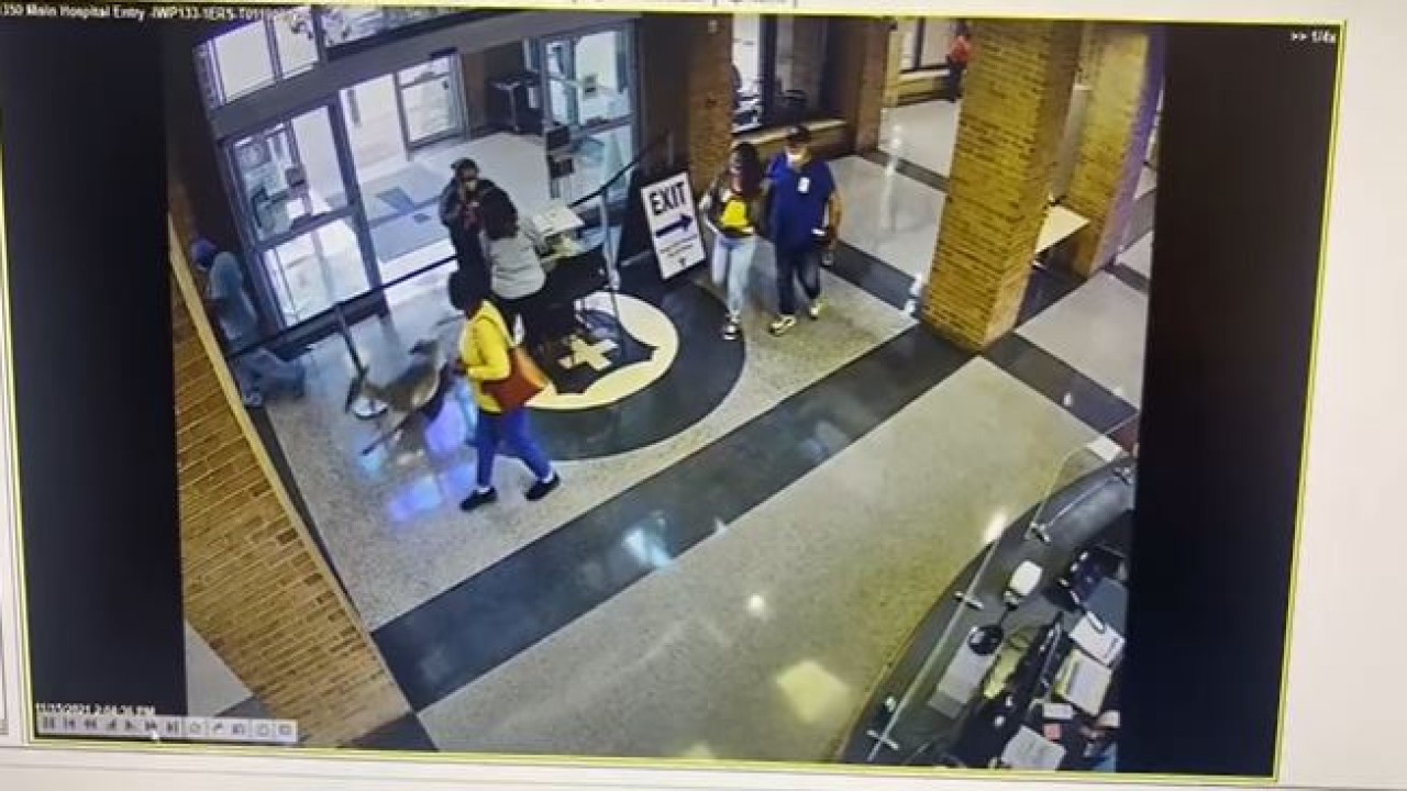 Rusa berlari menerobos masuk ke dalam rumah sakit. (tangkapan layar).