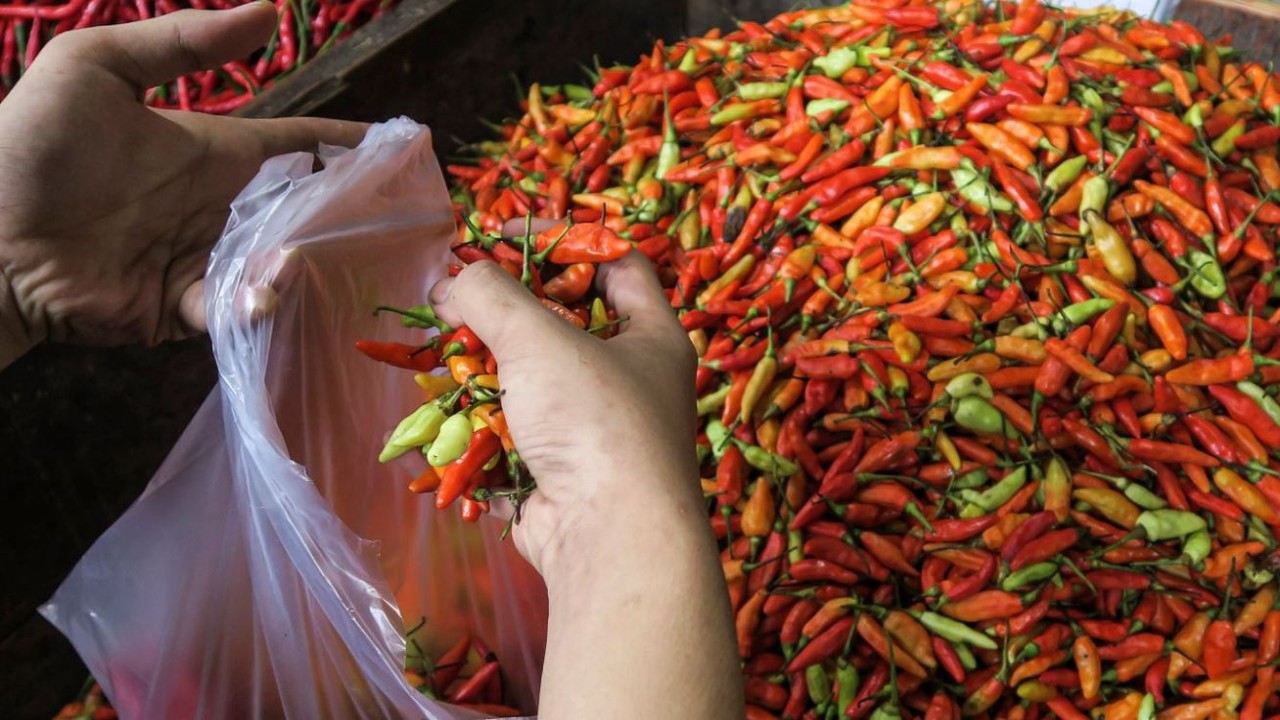 Cabai rawit merah/ist