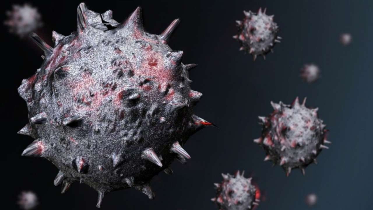 Ilustrasi covid-19/ist