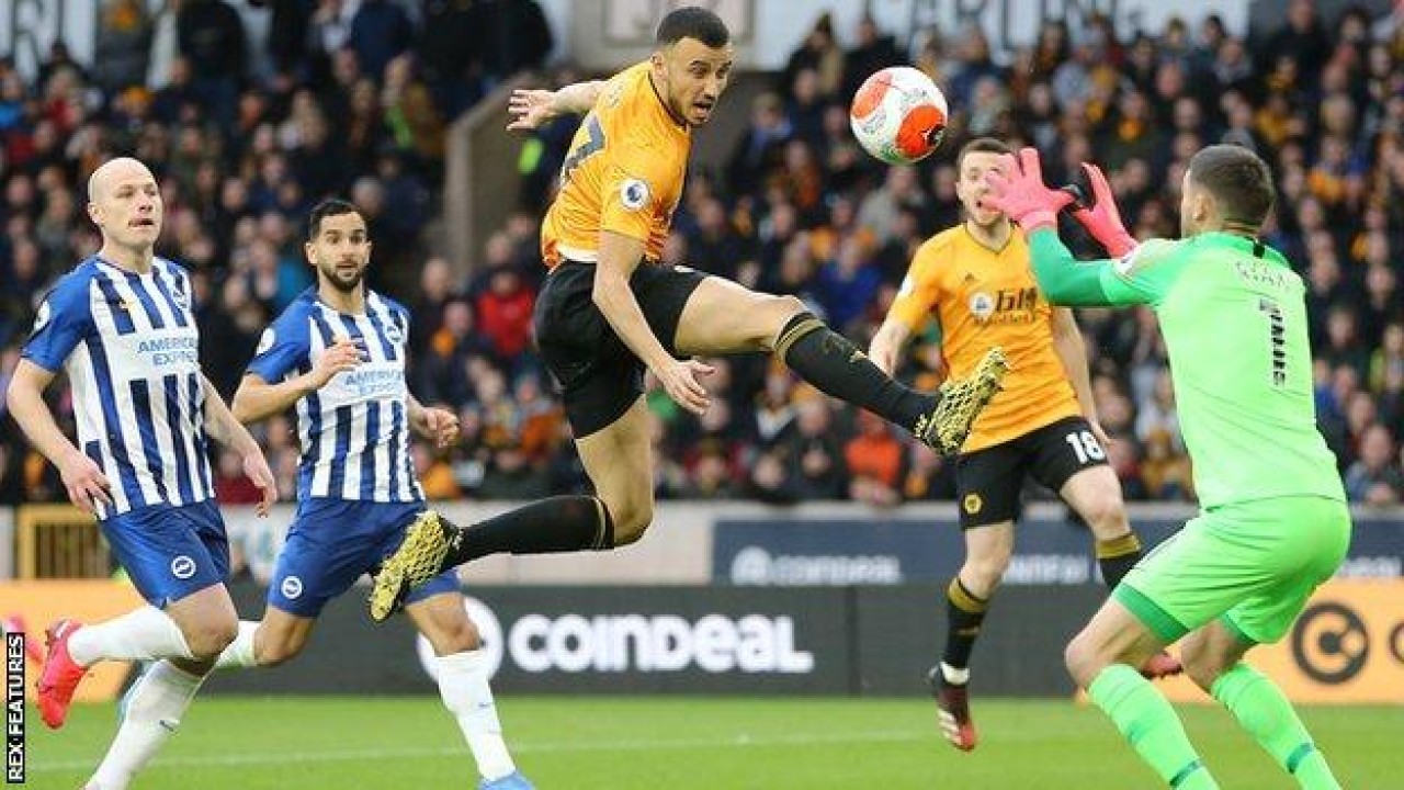 Laga Brighton vs Wolves