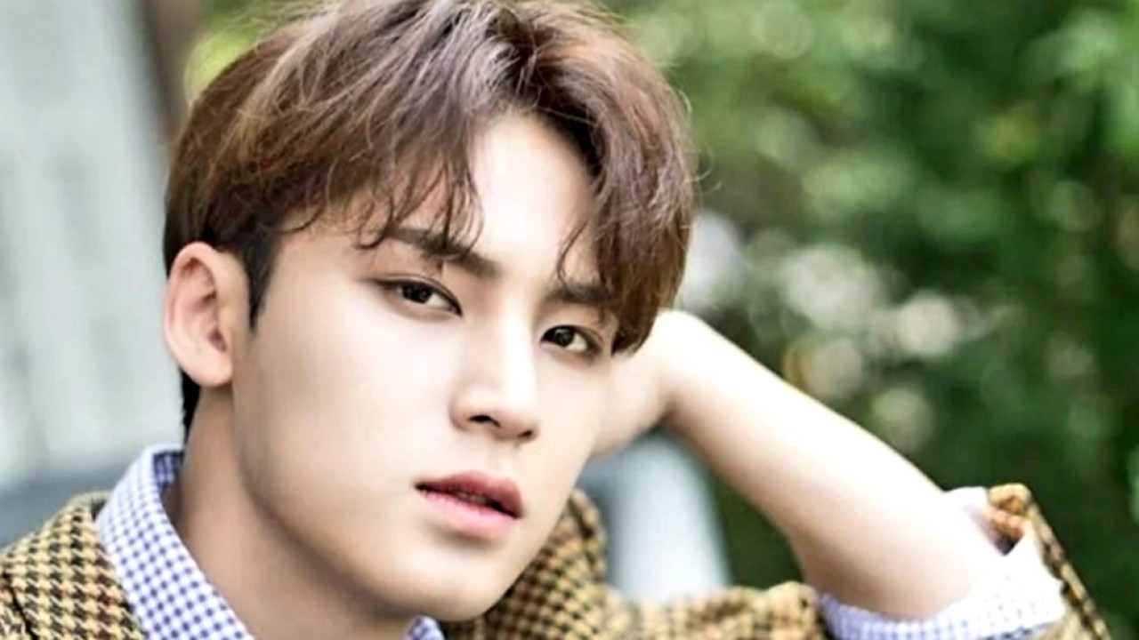 Mingyu SEVENTEEN. (net)