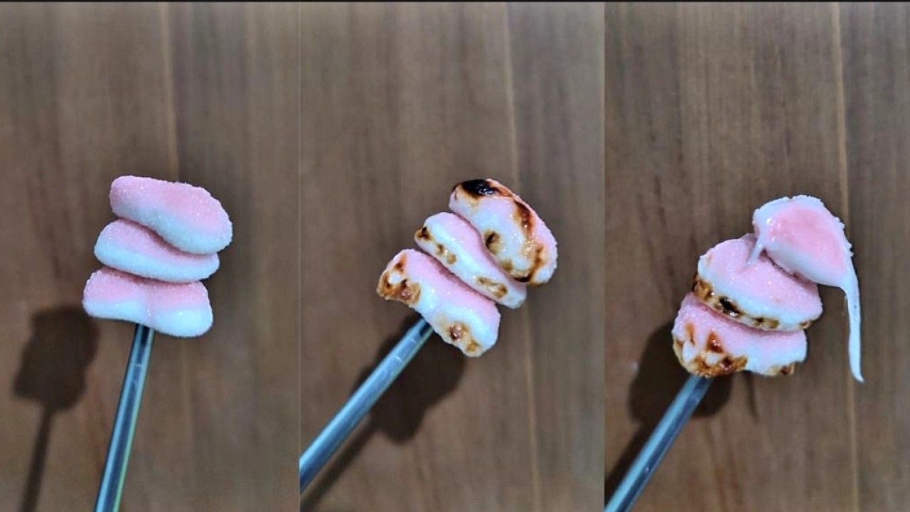 Penampakan Yupi bakar. (net)