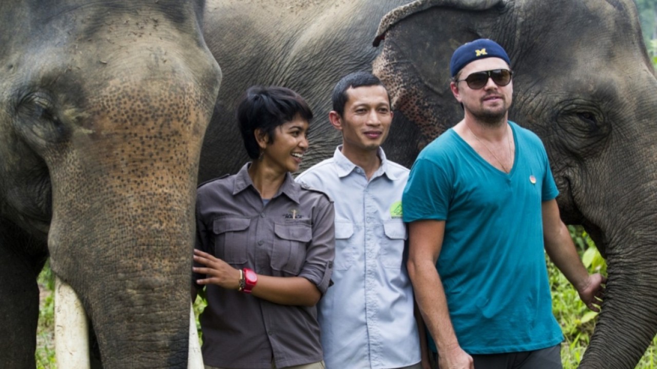 Aktor Leonardo DiCaprio saat berkunjung ke Taman Nasional Gunung Leuser, Aceh. (net)