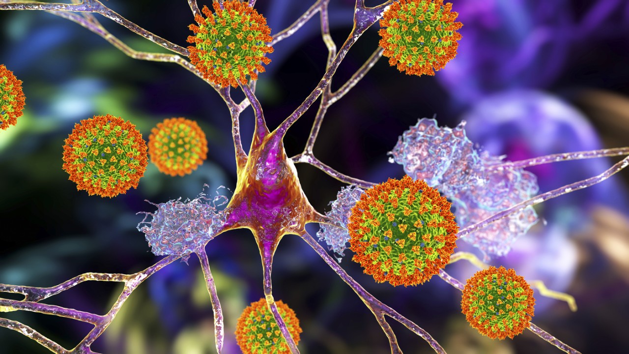 Ilustrasi covid-19/ist