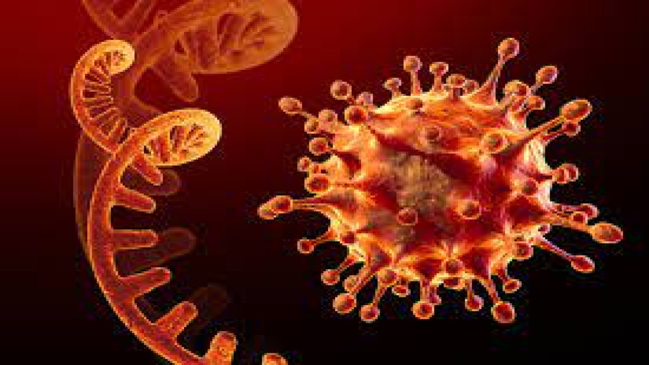 Ilustrasi varian covid-19 Omicron/ist