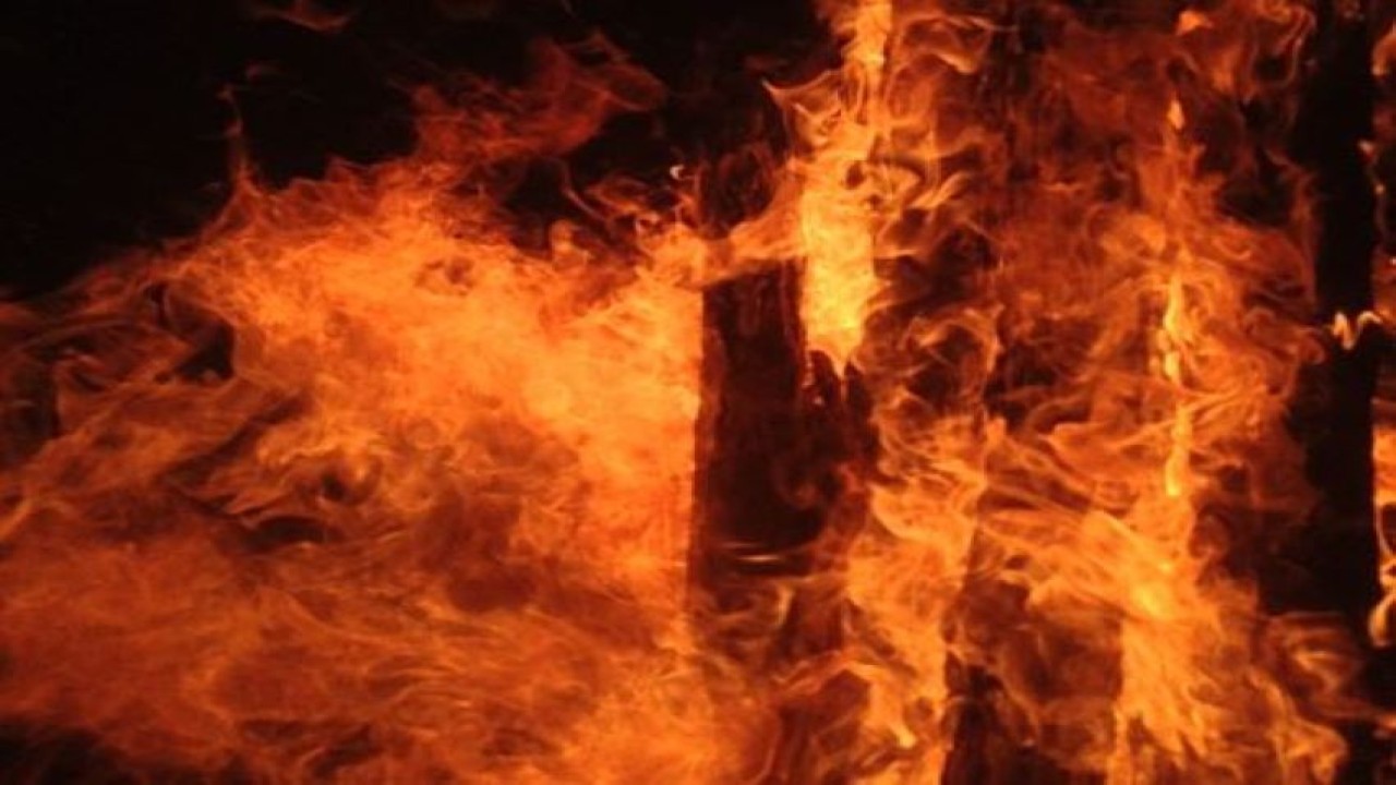 Ilustrasi. (Istimewa)