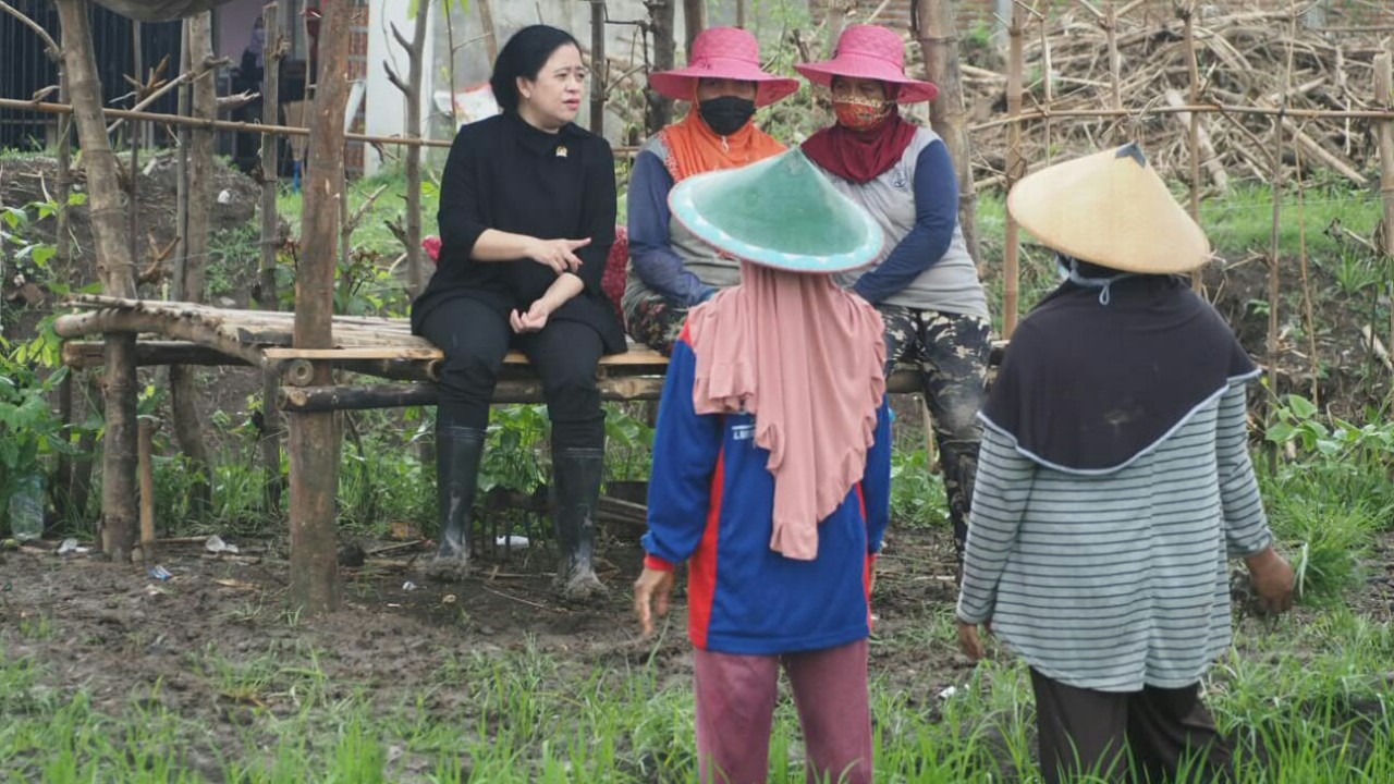 Ketua DPR RI Puan Maharani saat berbincang dengan petani.