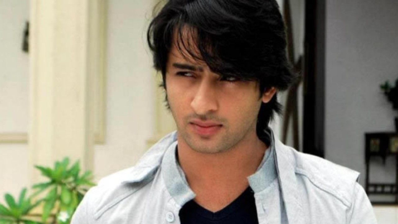 Shaheer Sheikh. (net)