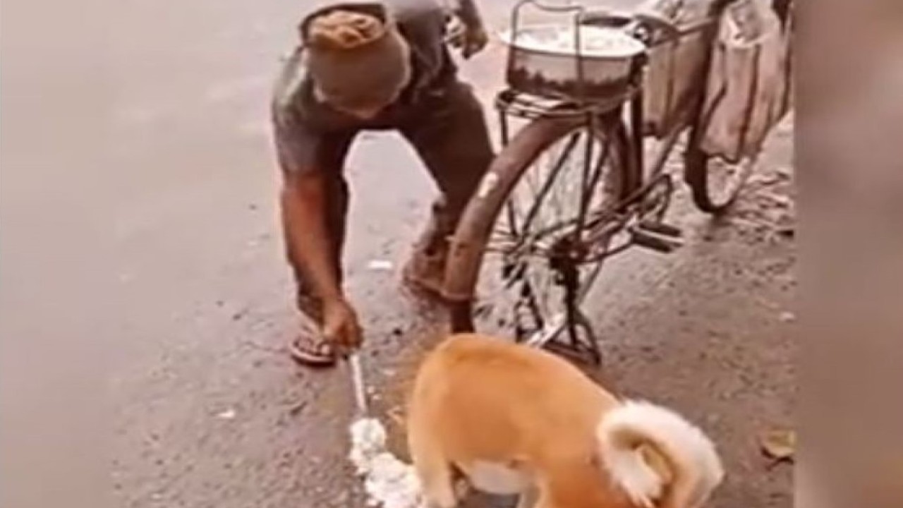 Pria paruh baya memberikan makan anjing liar. (Tangkapan layar/India Times)