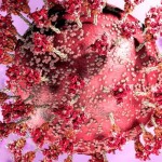 Ilustrasi varian covid-19 Omicron-1644131548