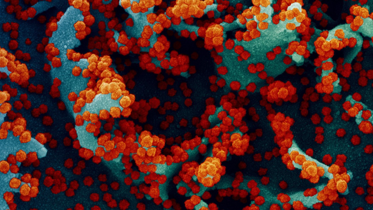 Ilustrasi varian covid-19 Omicron Siluman atau varian BA.2/ist