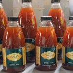 Jamu Tradisional D'JAMOE-1643887257