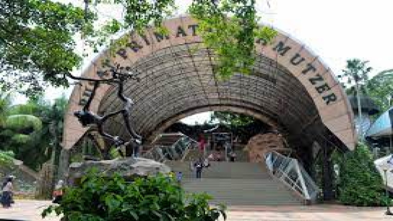 Pusat Primata Smutzer di Taman Margasatwa Ragunan Jakarta/ist