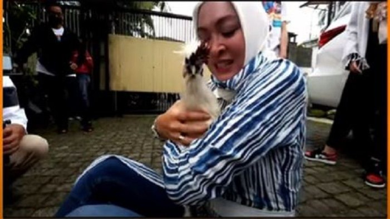 Angelina Sondakh memeluk ayam Spiky kesayangannya/ist