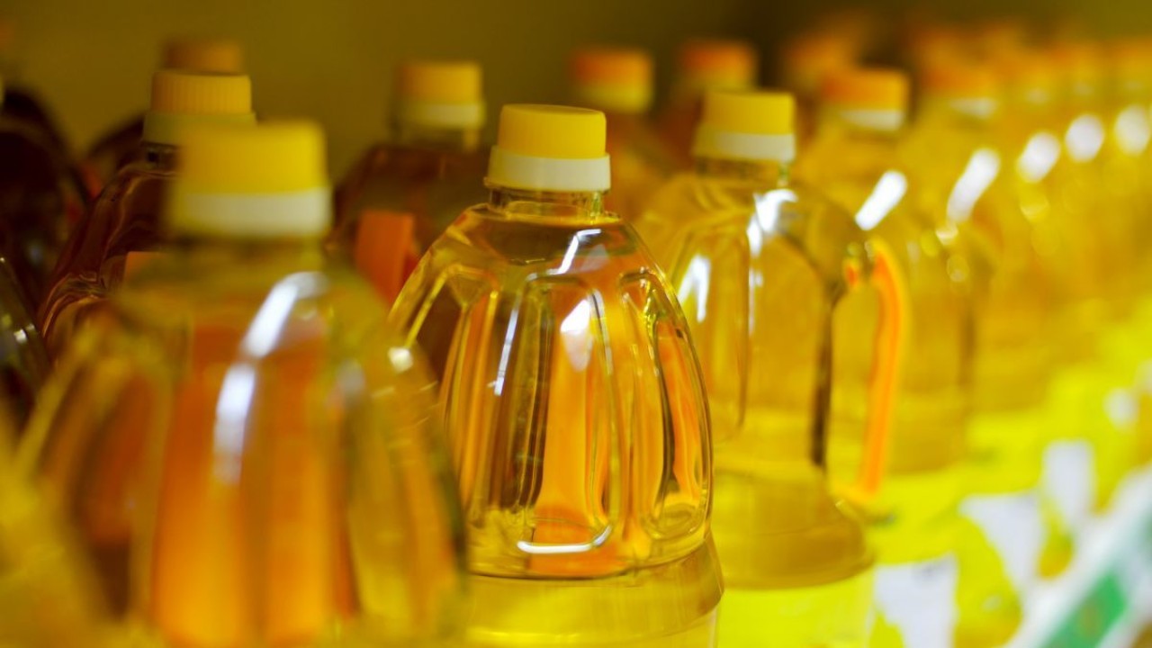 Ilustrasi minyak goreng/ist