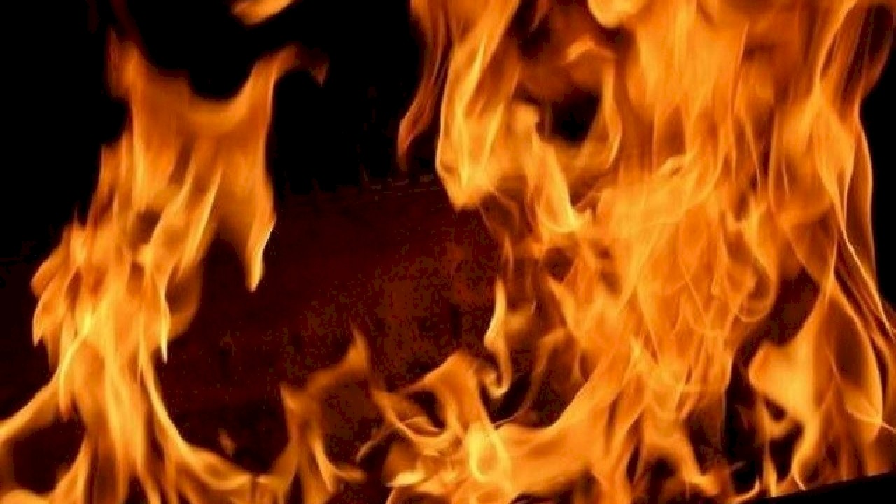 Ilustrasi pembakaran/ist