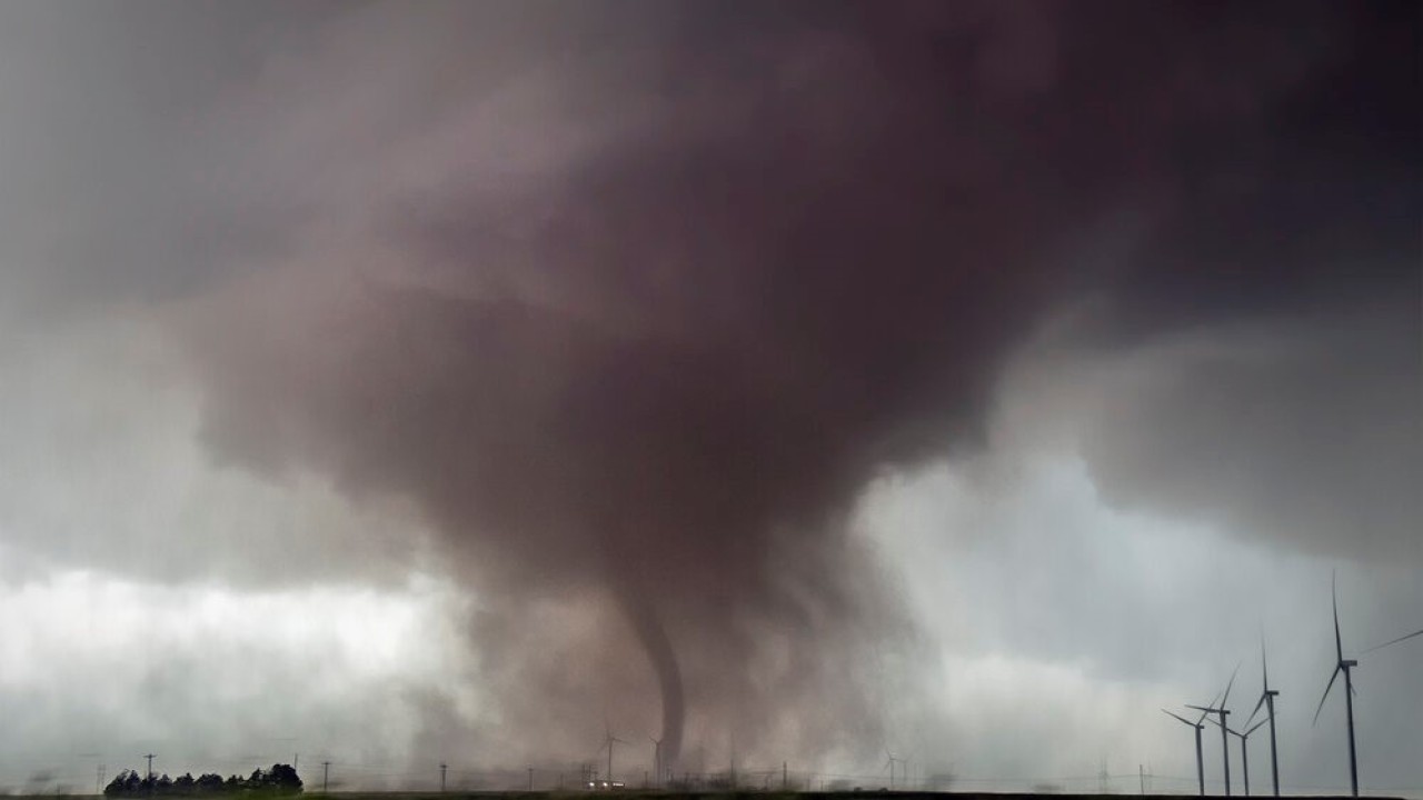 Ilustrasi. (Istimewa)