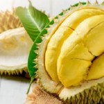 Buah durian/net-1649174457