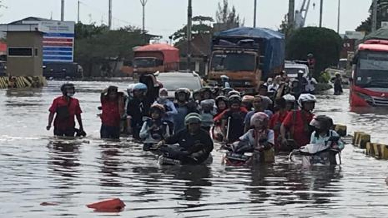Banjir rob Semarang. (Net)