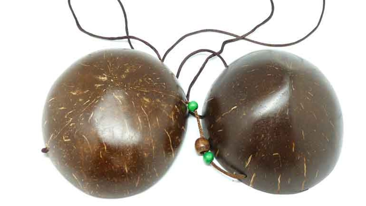 Bra dari batok kelapa/ist
