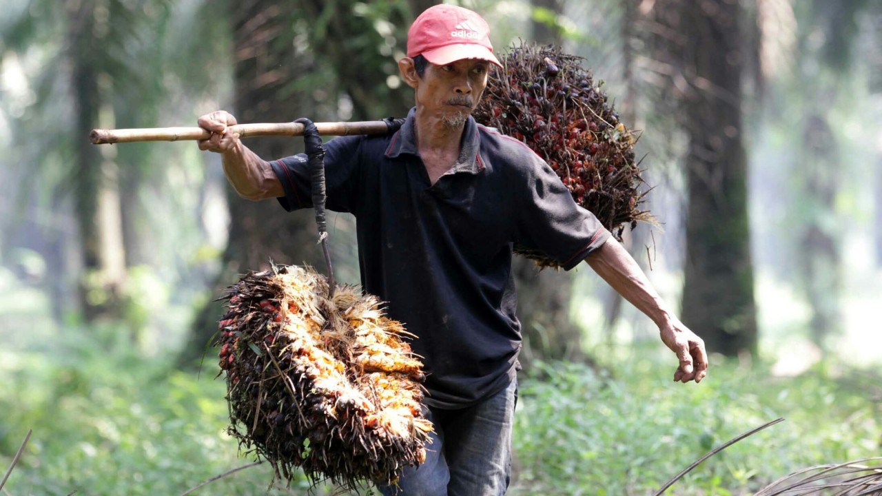 Ilustrasi petani sawit. (TrenAsia)