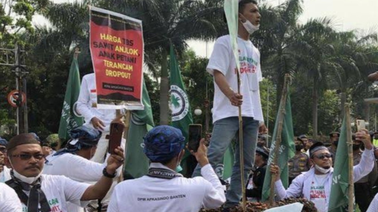 Para petani sawit menggelar demo di Kemenko Perekonomian/net