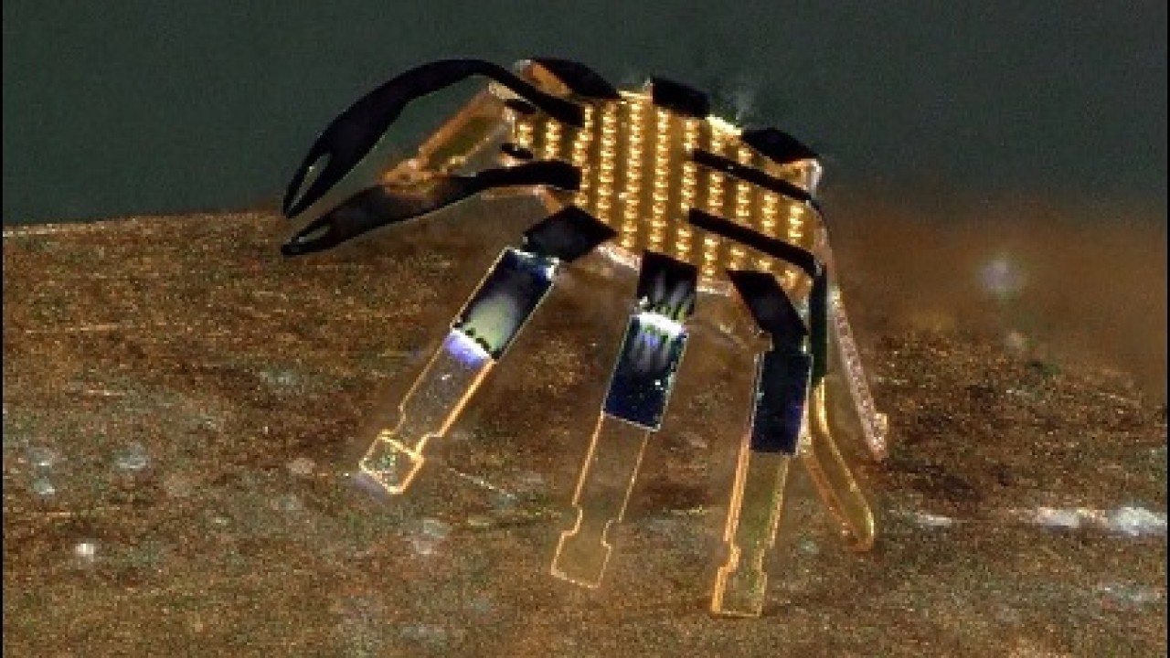 Robot berbentuk kepiting berukuran super mini/ist