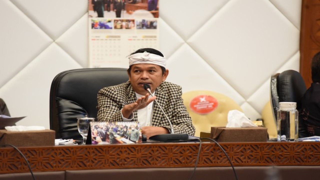 Wakil Ketua Komisi IV DPR RI Dedi Mulyadi . Foto: Dok DPR
