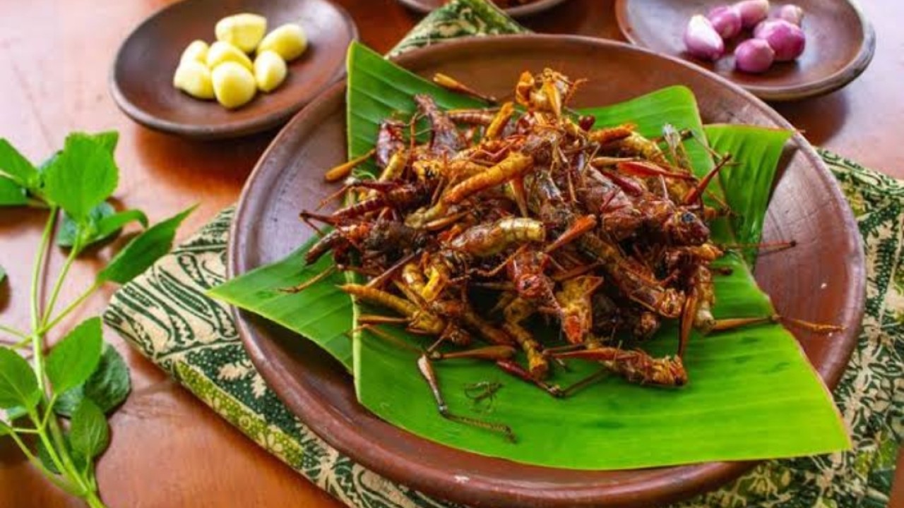 Menu olahan Belalang goreng/net