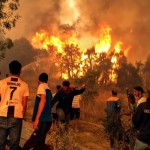 Kebakaran hutan-1658803117