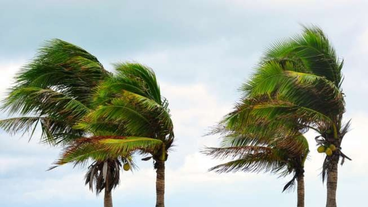 Ilustrasi Angin Kencang. Foto (Istimewa)