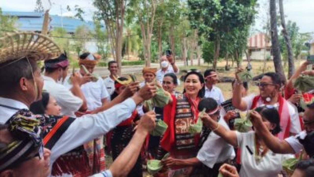 Julie Laiskodat Ingin Tos Kenegaraan Tingkat Provinsi NTT Pakai Tuak Manis dalam ‘Haik’. Foto (Istimewa)